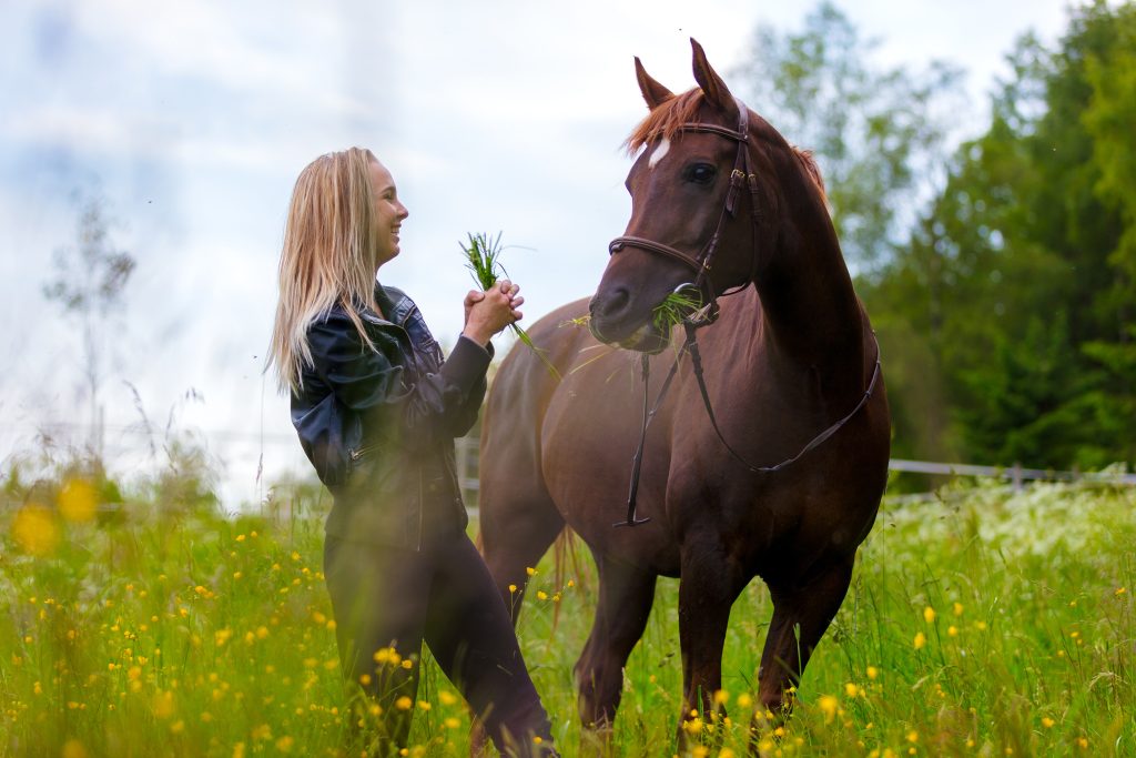 Pferde - Tieranwendungen mit TimeWaver